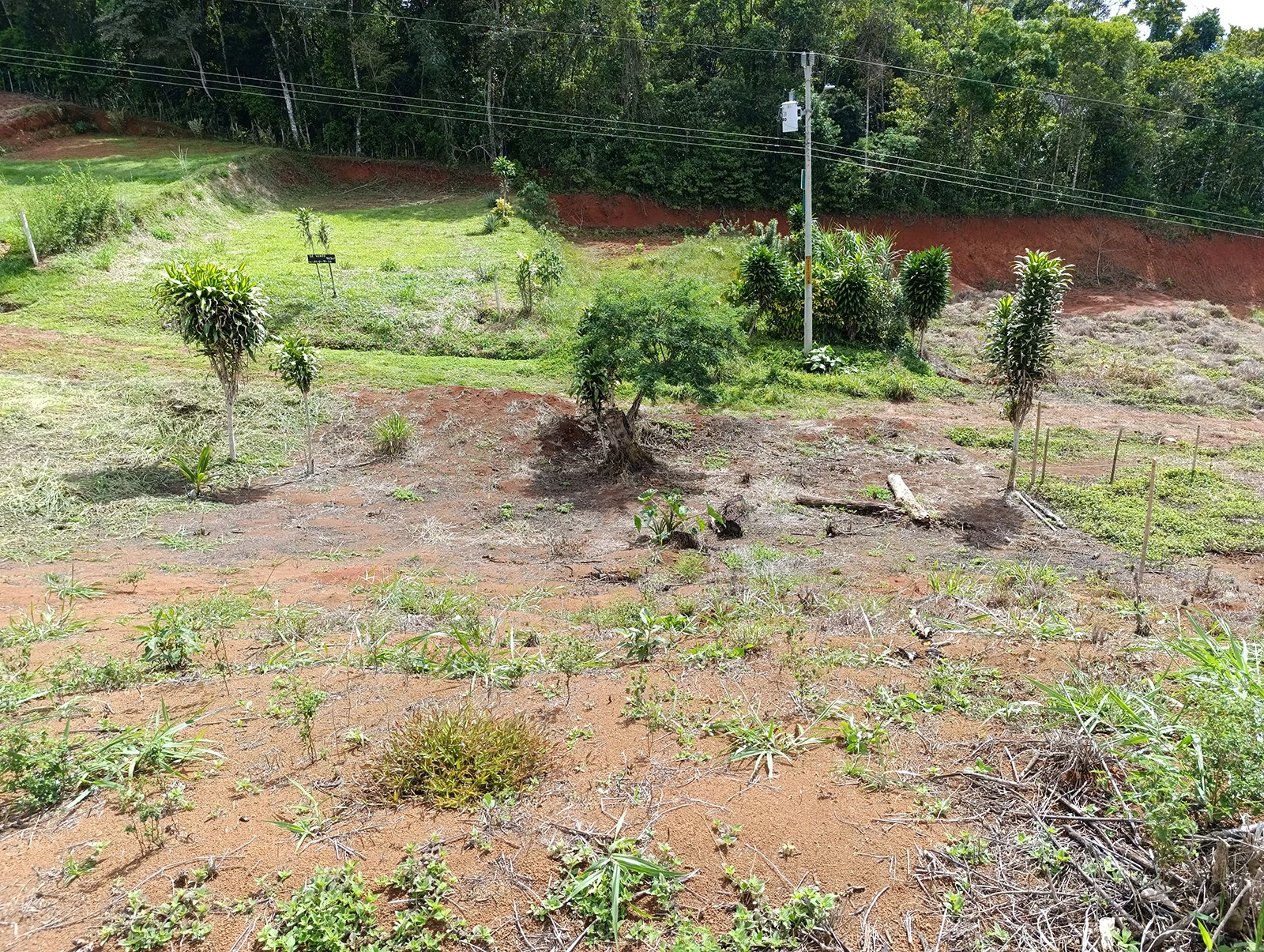 Lot 966 m² with Mountain View