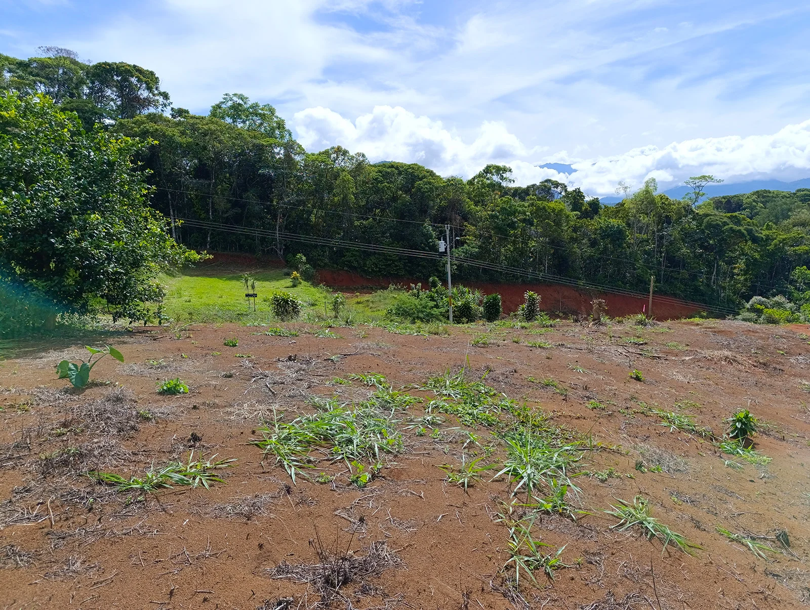 Lot 966 m² with Mountain View
